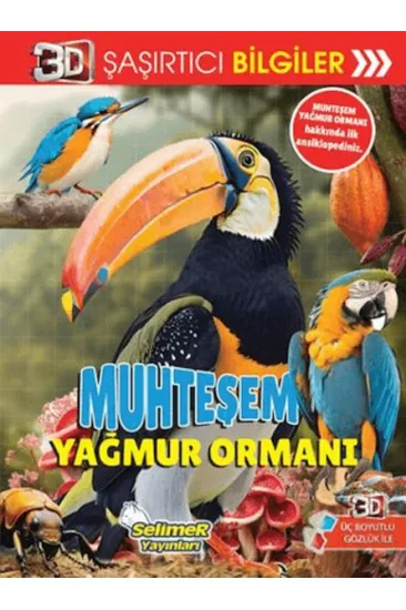 3D Şaşırtıcı Bilgiler - Muhteşem Yağmur Ormanı 3D Şaşırtıcı Bilgiler - Muhteşem Yağmur Ormanı