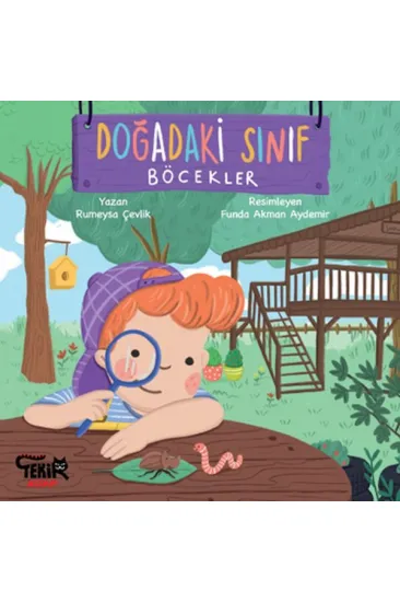 Doğadaki Sınıf- Böcekler Doğadaki Sınıf- Böcekler