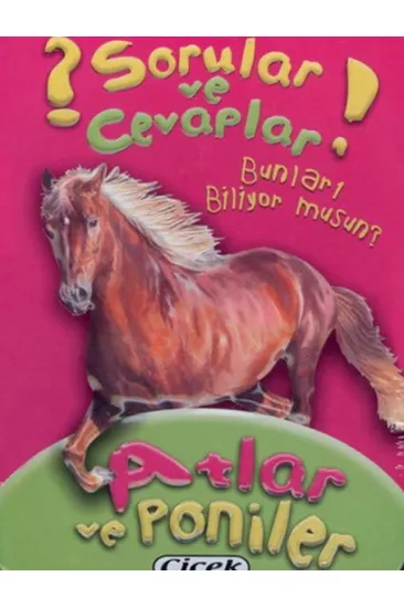 Sorular Ve Cevaplar Kart Atlar Ve Poniler Sorular Ve Cevaplar Kart Atlar Ve Poniler