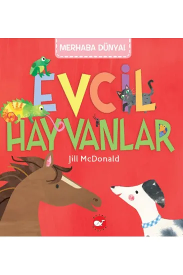 Merhaba Dünya - Evcil Hayvanlar Merhaba Dünya - Evcil Hayvanlar