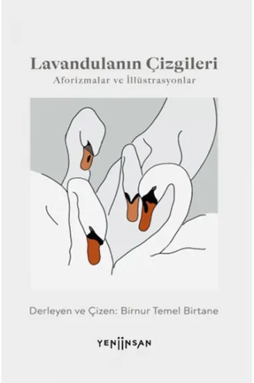 Lavandulanın Çizgileri Lavandulanın Çizgileri