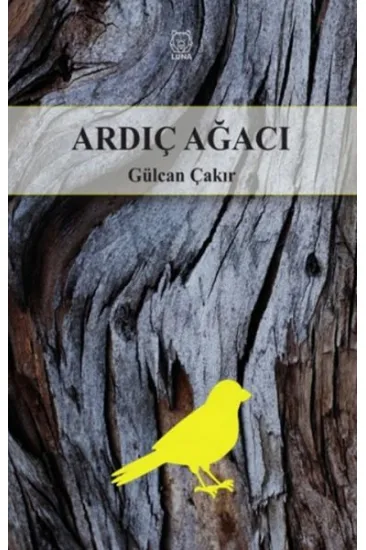 Ardıç Ağacı Ardıç Ağacı