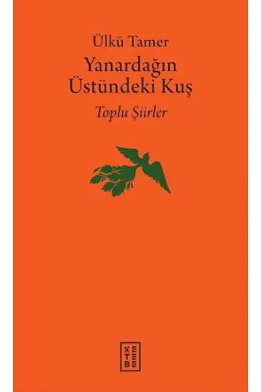 Yanardağın Üstündeki Kuş Yanardağın Üstündeki Kuş