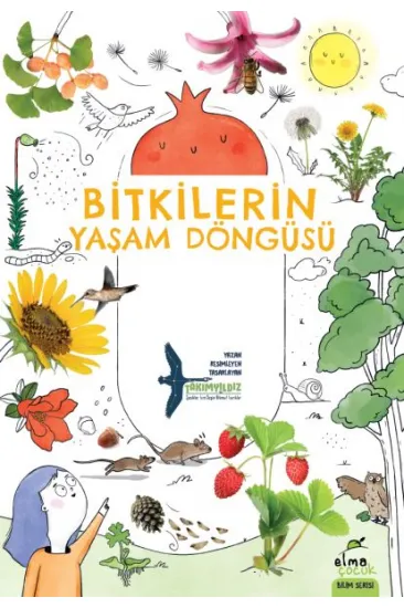 Bitkilerin Yaşam Döngüsü Bitkilerin Yaşam Döngüsü