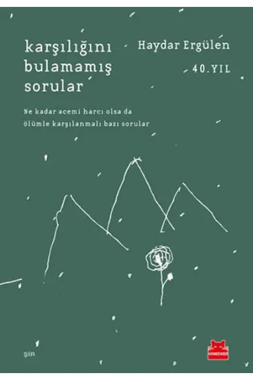 Karşılığını Bulamamış Sorular Karşılığını Bulamamış Sorular