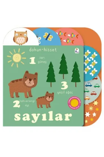 Dokun- Hisset / Sayılar Dokun- Hisset / Sayılar