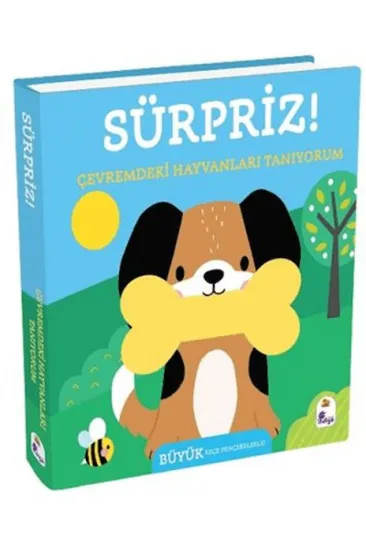 Sürpriz! - Çevremdeki Hayvanları Tanıyorum Sürpriz! - Çevremdeki Hayvanları Tanıyorum