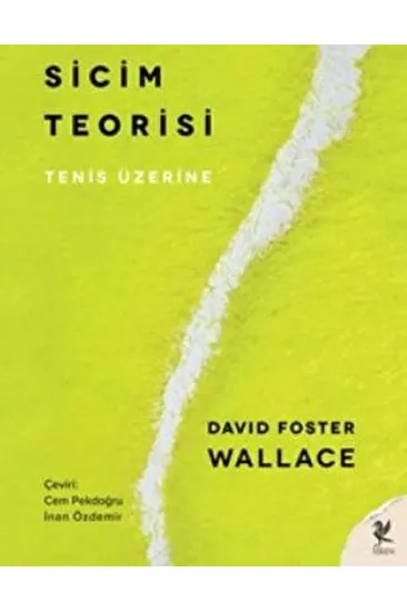 Sicim Teorisi Sicim Teorisi