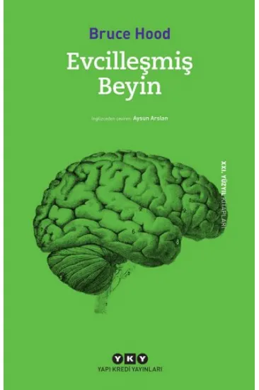 Evcilleşmiş Beyin Evcilleşmiş Beyin