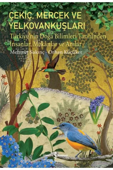 Çekiç, Mercek ve Yelkovankuşları Çekiç, Mercek ve Yelkovankuşları