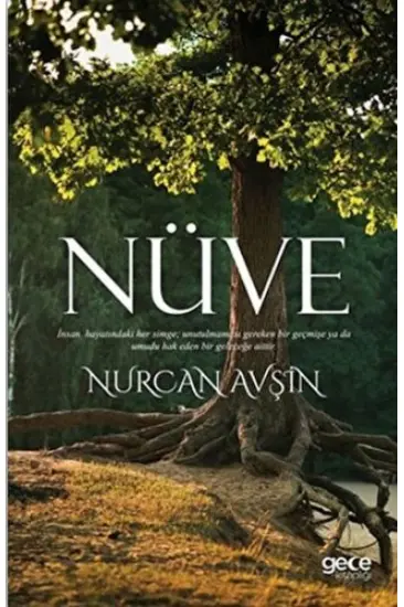 Nüve Nüve
