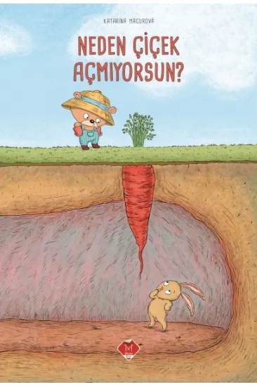 Neden Çiçek Açmıyorsun? Neden Çiçek Açmıyorsun?