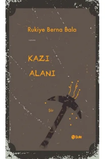 Kazı Alanı