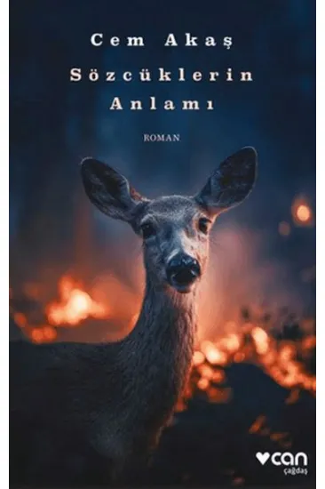 Sözcüklerin Anlamı Sözcüklerin Anlamı