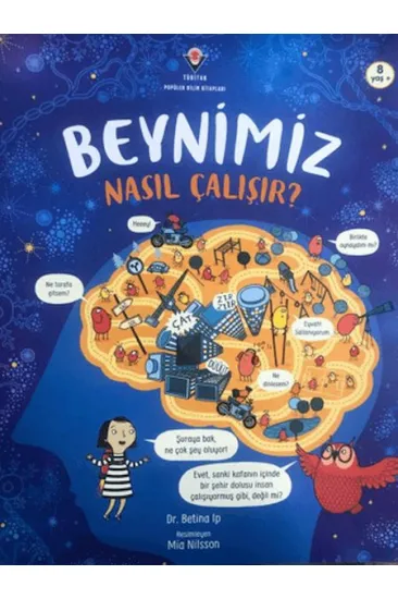 Beynimiz Nasıl Çalışır? Beynimiz Nasıl Çalışır?