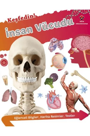 Keşfedin! İnsan Vücüdu Keşfedin! İnsan Vücüdu