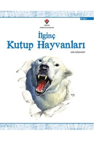 İlginç Kutup Hayvanları