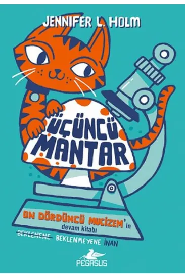 Üçüncü Mantar Üçüncü Mantar