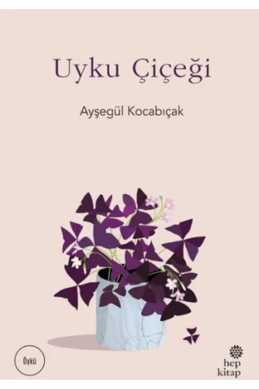 Uyku Çiçeği Uyku Çiçeği