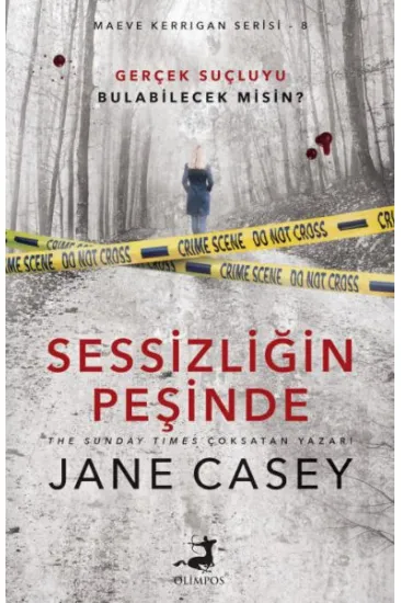 Sessizliğin Peşinde