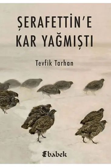 Şerafettin'e Kar Yağmıştı Şerafettin'e Kar Yağmıştı