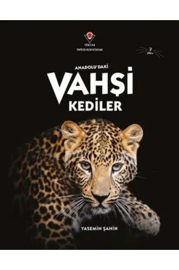 Anadolu'Daki Vahşi Kediler Anadolu'Daki Vahşi Kediler