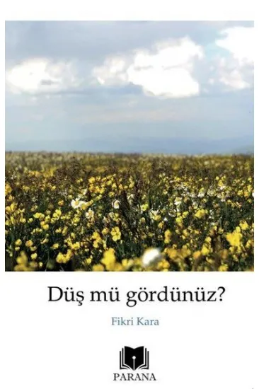 Düş mü Gördünüz? Düş mü Gördünüz?
