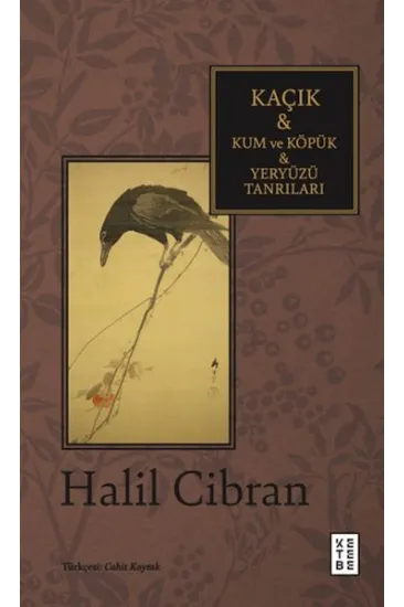 Kaçık & Kum ve Köpük & Yeryüzü Tanrıları Kaçık & Kum ve Köpük & Yeryüzü Tanrıları
