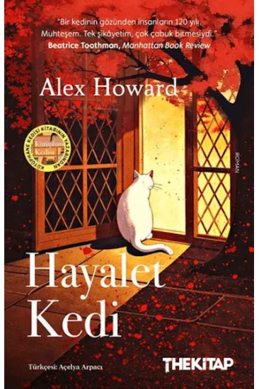 Hayalet Kedi Hayalet Kedi