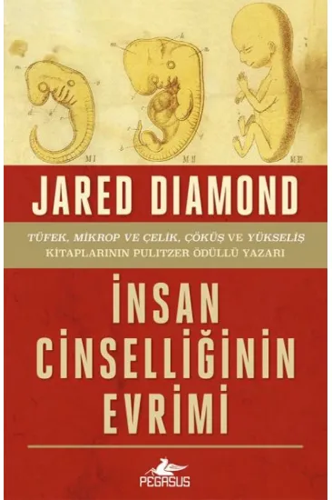 İnsan Cinselliğinin Evrimi - Ciltsiz İnsan Cinselliğinin Evrimi - Ciltsiz