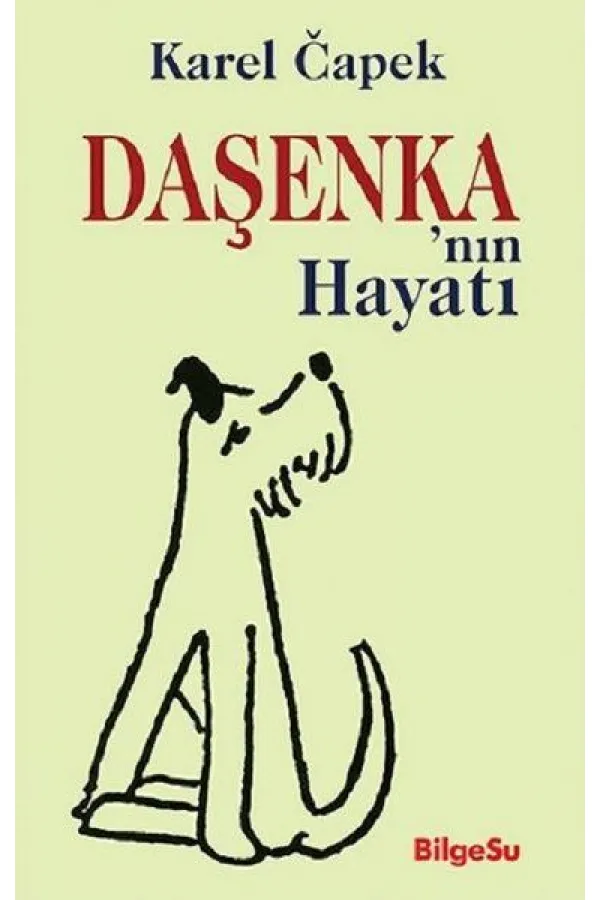 Daşenkanın Hayatı Daşenkanın Hayatı