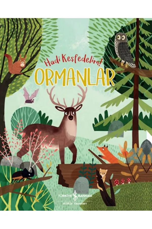 Ormanlar - Hadi Keşfedelim! Ormanlar - Hadi Keşfedelim!