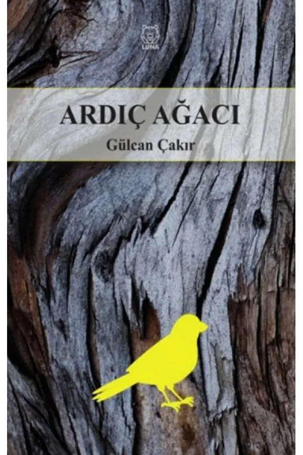 Ardıç Ağacı Ardıç Ağacı