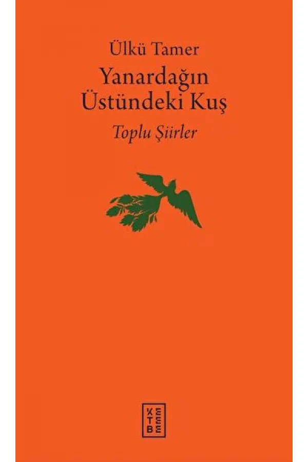 Yanardağın Üstündeki Kuş Yanardağın Üstündeki Kuş
