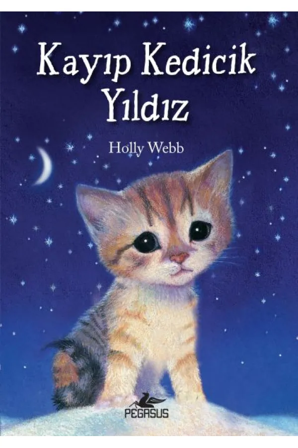 Kayıp Kedicik Yıldız Kayıp Kedicik Yıldız