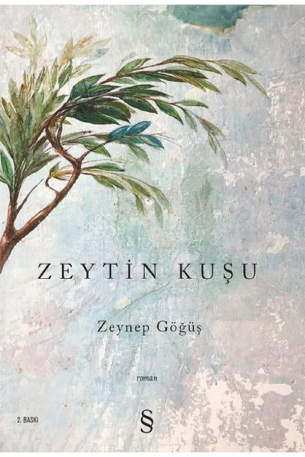 Zeytin Kuşu