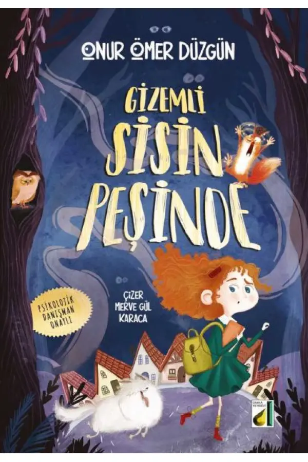 Gizemli Sisin Peşinde Gizemli Sisin Peşinde