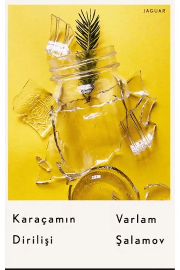 Karaçamın Dirilişi Karaçamın Dirilişi