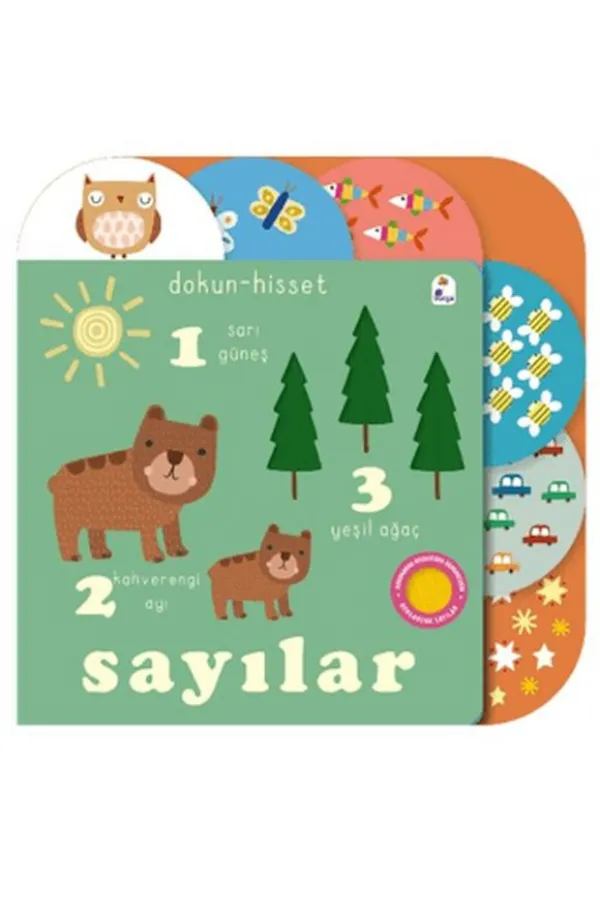 Dokun- Hisset / Sayılar Dokun- Hisset / Sayılar