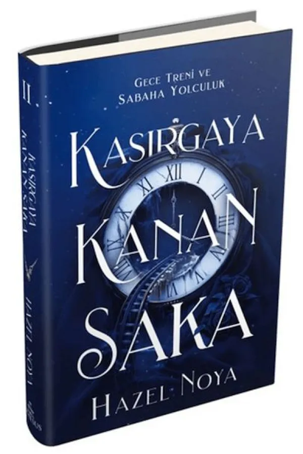 Kasırgaya Kanan Saka 2
