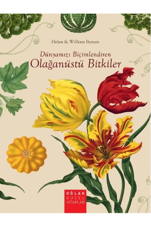 Dünyamızı Biçimlendiren Olağanüstü Bitkiler Dünyamızı Biçimlendiren Olağanüstü Bitkiler