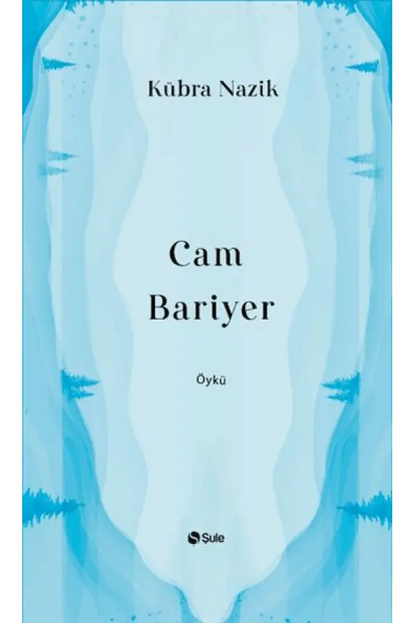 Cam Bariyer Cam Bariyer
