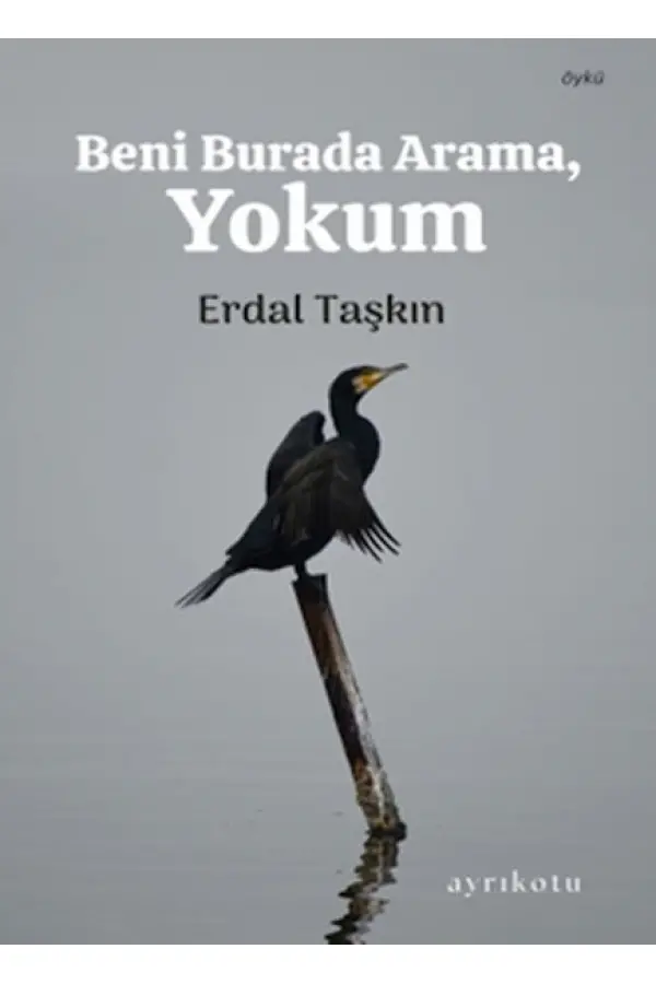 Beni Burada Arama, Yokum Beni Burada Arama, Yokum