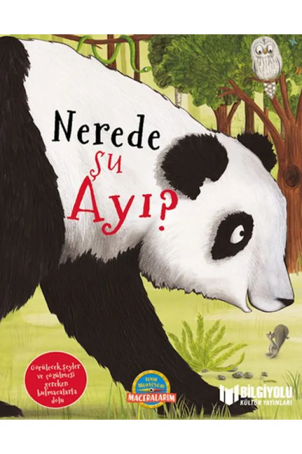 Nerede Şu Ayı ? Nerede Şu Ayı ?