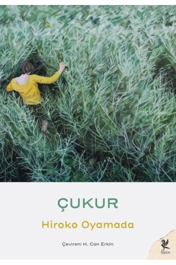 Çukur Çukur