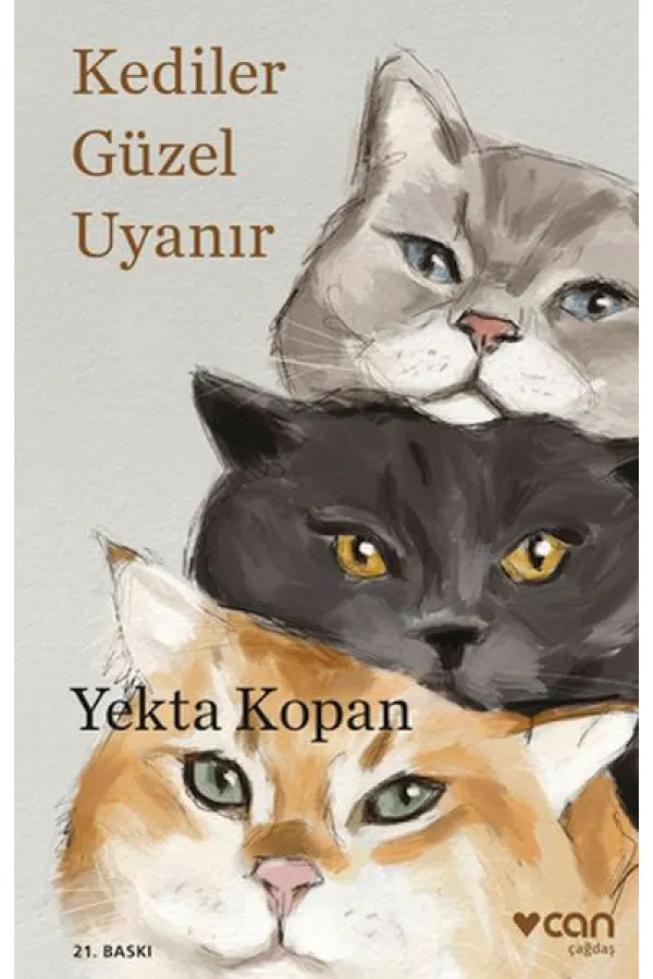 Kediler Güzel Uyanır Kediler Güzel Uyanır