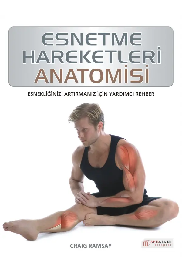 Esnetme Hareketleri Anatomisi Esnetme Hareketleri Anatomisi