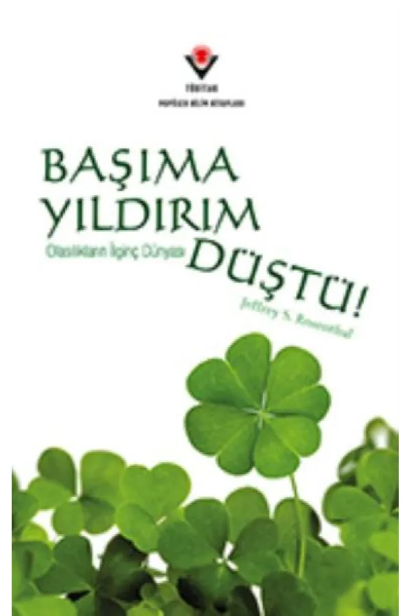 Başıma Yıldırım Düştü!