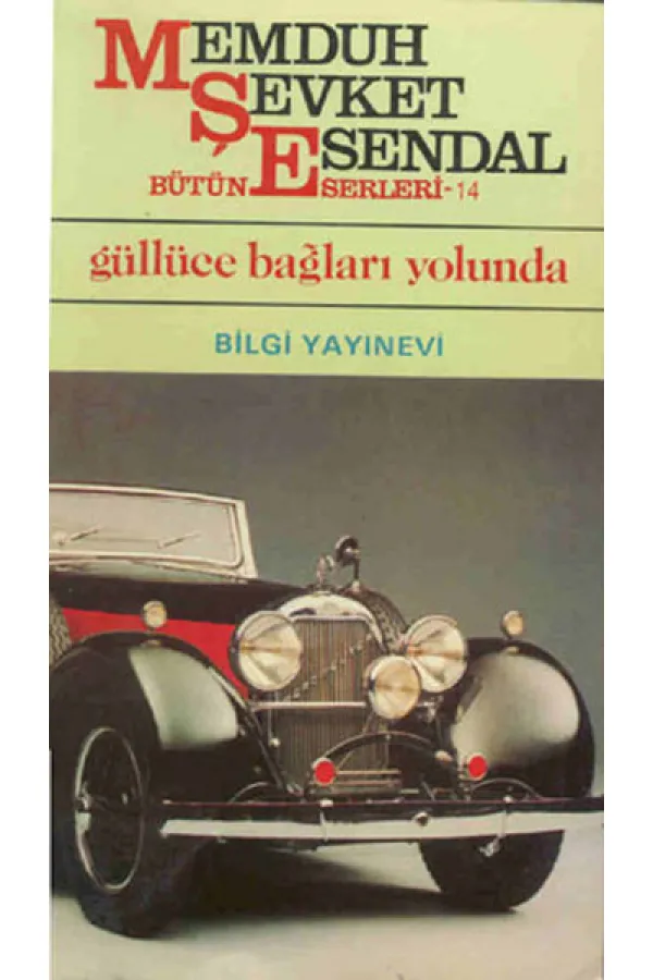 Güllüce Bağları Yolunda Güllüce Bağları Yolunda