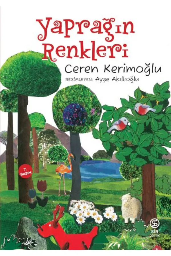Yaprağın Renkleri Yaprağın Renkleri